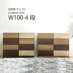 `FXg nC`FXg [`FXg [ ^X 100 4i V l炵 ubNtCf[ ؐ Of[V k uE i` Y i }\ V l炵 