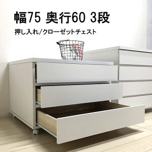  N[[bg ^X `FXg LX^[t Ԏ[ [^Cv ԃ`FXg 75 3i [ [Ƌ [`FXg Y ikCEkEE͕ʓrς }