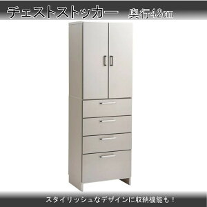 `FXgXgbJ[ 60 s42 Tj^[[ Eߏ ʏ Vo[  }\ V l炵 ubNtCf[  ؍H