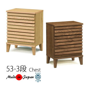 `FXg nC`FXg [^X 53cm 3i iq C V l炵 ubNtCf[ ؐ EH[ibg bhI[N ICh k [t Y i`  }