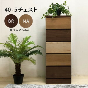 5i`FXg ^X 40cm [  }\ V l炵 ubNtCf[ nEB v[g  ؍H