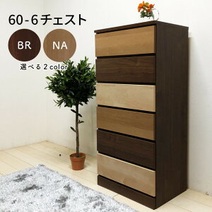 6i`FXg ^X 60cm nC^Cv [  }\ V l炵 ubNtCf[ v[g  ؍H