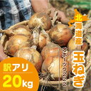 北海道産 玉ねぎ 訳アリ 20kg｜大容量 保存 野菜 甘み 栄養 産地直送 新鮮 万能