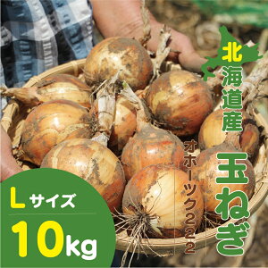 �k�C���Y �ʂ˂� L�T�C�Y 10kg�b��e�� �ۑ� ��� �Â� �h�{ �Y�n���� �V�N ���\