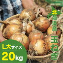 北海道産 玉ねぎ L大サイズ 20kg｜大容量 保存 野菜 甘み 栄養 産地直送 新鮮 万能