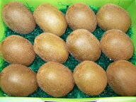 愛媛産・香川産キウイフルーツ12玉入り
