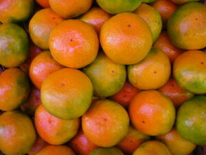 香川産「ゆら早生みかん」Sサイズ5キロ箱