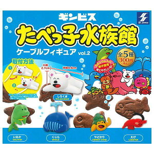 MrX ׂq P[utBMA vol.2 y S5 K`K` Rv[g z