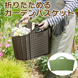 Y seiei ܂肽߂ K[foXPbg 20L UVh ꕨ K[fjO [ O  뉀 낢 d | AEghA X|[c