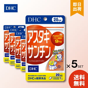 DHC AX^LT` 20 20 ×5 fB[GC`V[ Tvg NHi  \tgJvZ r^~E  Hŕs XLPA ݂₷ X