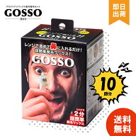 【選べる個数 / レビュー投稿で300円OFF】 ゴッソ GOSSO 鼻毛ワックス 鼻毛脱毛キット 10回分 ブラジリア…