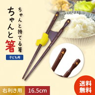 イシダ 矯正箸 ちゃんと箸 こども用 子供 子ども 16.5cm 右利き 送料無料