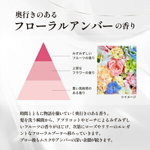 �y�I�ׂ��ށzReFa ���t�@ �r���[�e�b�N�V�����v�[ �g���[�g�����g �l�֗p ���K�i 1000ml 1000g MTG BEAUTECH SHAMPOO TREATMENT ���K�i ���e