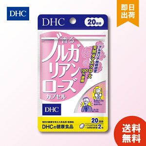 DHC uKA[Y 20 Tvg fB[GC`V[ Tv o j LPA e [YTv o̍  L΍ KN