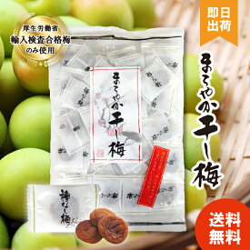 【最安値への挑戦 / セット購入でさらにお得】 まろやか干し梅 160g 種なし 個包装 ほんのり甘く ほんのり 酸っぱい 小袋 種なし梅 おつまみ梅【レビュー投稿で300円OFF】