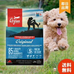 yKiz ORIJEN IW IWi hbO 2kg hbOt[h OCt[ ̉a a e  VjA ^pN S SN ʒ sgp