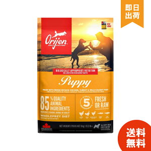 �I���W�� �p�s�[ 6kg orijen �q���p �q�� 1�΂܂� ���^���p�N �O���C���t���[
