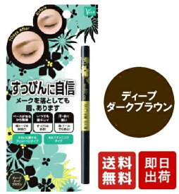 【6/4 20:00～6/11 1:59 まで当店全商品 P10倍】ビナ薬粧 セルフ タンニング アイブロウ ST ディープダークブラウン ×1個 眉墨 眉 まゆ 眉毛 まゆげ 自然 落ちない 汗 皮脂 ペンシル カラーコート成分