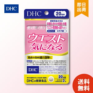 DHC dhc EGXg CɂȂ 20 40 EGXg ̏d ̎b b _CGbg   j ăoe  @\Hi bR