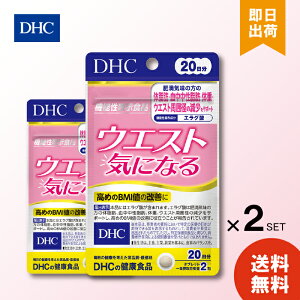 DHC dhc EGXg CɂȂ 20 40 ×2 EGXg ̏d ̎b b _CGbg   j ăoe  @\Hi bR