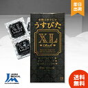 【選べる個数 / レビューで300円off】 コンドーム うすぴたXL Rich 12個入り リッチ うすぴた 大きいサイズ ラージ 避妊具 スキン こんどーむ コンドーム 大きいサイズ 特大サイズ