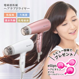 【選べる2色】 ゼンケン 電磁波低減 ヘアケアドライヤー ホワイト ピンク ZD-750 ドライヤー 電磁波防止 低電磁波【正規品・1年保証】
