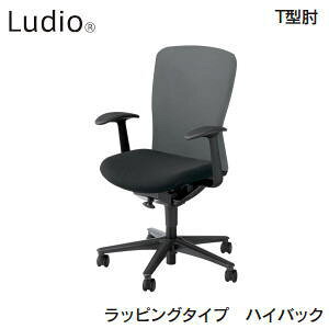 cms E`_ UCHIDA fBI`FA Ludio bsO^Cv nCobN T^I iCLX^[ 5-307-411