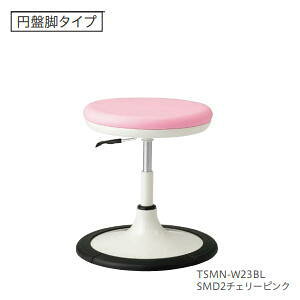 m[cCX TSMNXc[ ×p`FA ֎q ~Ջr rFzCg TSMN-W23B