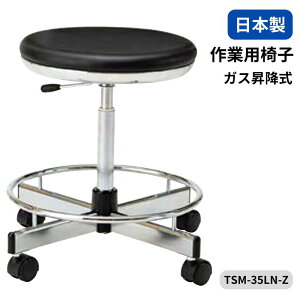 m[cCX Ɨp`FA wpCvȂ KX㉺ OXebvt TSM-35LN-Z