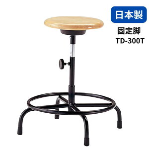m[cCX Ɨp`FA Ɨp֎q ۈ֎q^Cv ؐ nh Œr TD-300T