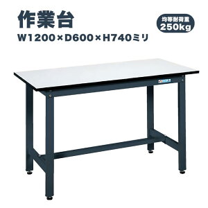 �T�J�G SAKAE ��Ƒ� SEL�^�C�v �L���X�^�[�Ȃ� �ϓ��ω׏d250kg W1200×D600×H740mm SEL-1260P