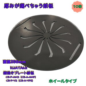 C^j ԏĂ CB-P-AM3 (CB-A-AMP) CB-P-Y2 (CB-A-YPS) p o[xL[O@ԏĂS@ی^S SS4004.5mm 6mm 9mm 250 ē IWATANI ԏĂ v[g S