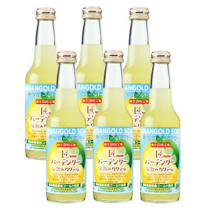 o[e_[ƈ݃JNeV[Y S[hT[6{Zbg ANG-6 yR/{𑢁z { O[vt[c T[ E_E Y L[ JNe `[n