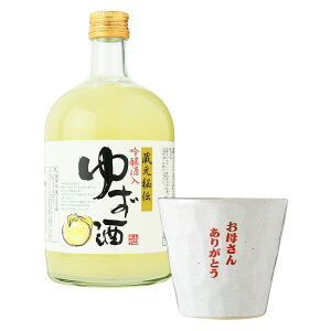 a Mtg ̓ `  䂸EIWiOXZbg bZ[WJ[ht    v[g 䂸 R {