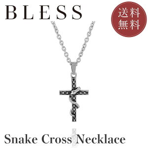 Xl[NNXlbNXyXeX lbNX Y fB[X BLESS uXz