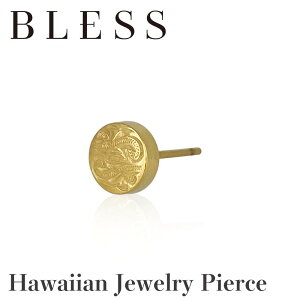 nCAWG[RCsAX(Ўp)yXeX sAX Y fB[X BLESS uX nCAWG[z