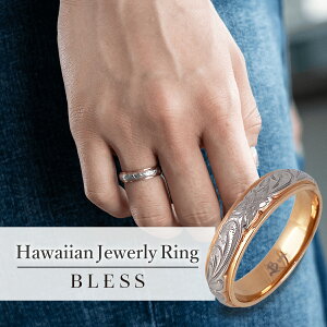 nCAWG[OyXeX O fB[X Y BLESS uX nCAWG[z