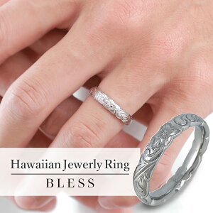 nCAWG[OyXeX O fB[X Y BLESS uX nCAWG[z