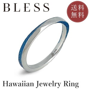 nCAWG[OyXeX O fB[X Y BLESS uX nCAWG[z