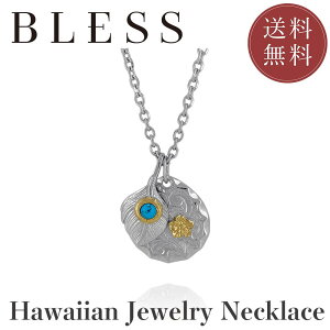 nCAWG[lbNXyXeX lbNX Y BLESS uX nCAWG[ S[hJ[z