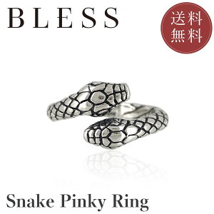 Xl[NsL[OyVo[ O Y fB[X BLESS uXz