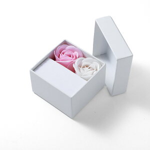 \[vt[{bNXyv[g Mtg bsO {bNX Mtg{bNX \[vt[ WG[ ANZT[ P[X  BLESSIWi BLESSz