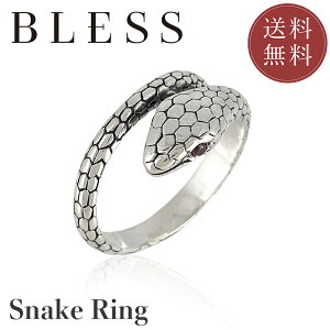 Xl[NOyVo[ O Y fB[X BLESS uXz