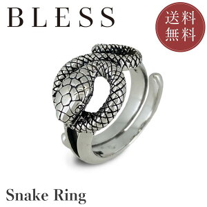 Xl[NO(t[TCY)yVo[ O Y fB[X BLESS uXz