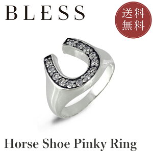 z[XV[sL[OyVo[ O Y fB[X BLESS uXz