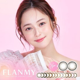 フランミー FLANMY 2箱20枚入 1日装用 度あり なし 全17色 14.2mm 14.5mm カラコン 高含水58％ UVカット 高含水 佐々木希 1日使い捨て コンタクトレンズ 送料無料