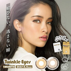 【度あり】1ヶ月 Twinkle Eyes トゥインクルアイズ 【2箱2枚入】 カラーコンタクト マンスリー 14.5mm カラコン カラーコンタクトレンズ