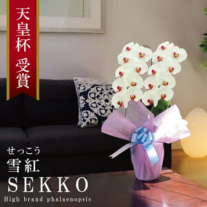 Y Ӓ Ԏ 2{ 18ց` 10,000~y/sNn/ԁz Iׂ4F Q܂ Yn j v[g  Mtg 蕨 ̓Mtg  a JXj J