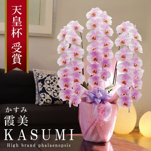 Y Ӓ Ԏ  3{ 39ց` 25,000~y/sNn/ԁz Iׂ4F 摜zM Q Yn j v[g  Mtg 蕨 ̓Mtg  a JXj