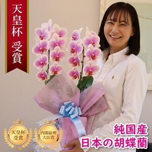 Y Ӓ Ԏ  2{ 18ց` 10,000~yVenus(B[iXjzsN Of[V x炫 v[g j  ̓Mtg 蕨  a  JX J ړ]